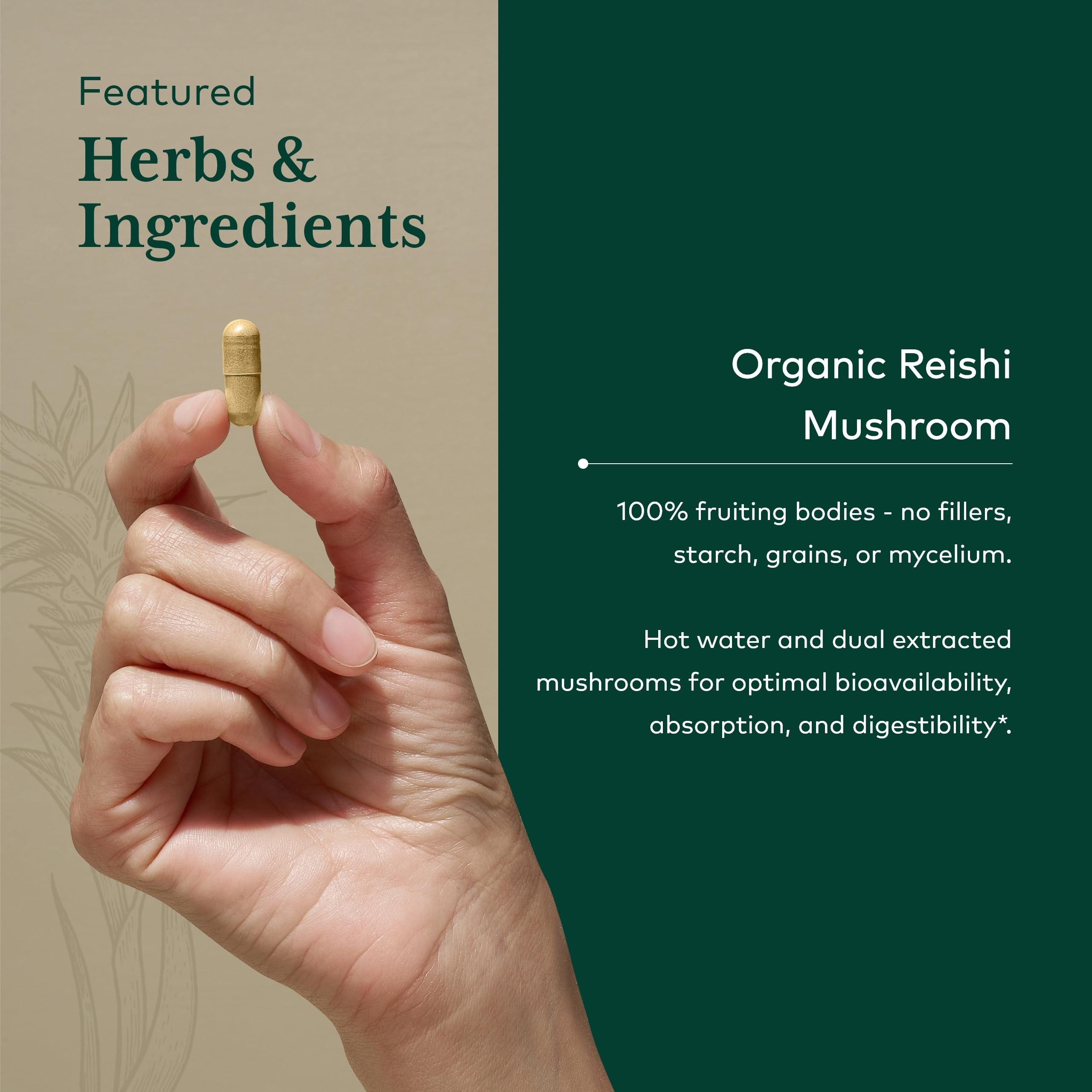 Gaia Herbs PRO Reishi champignon boite-dose: dosage simple pour chaque jour.