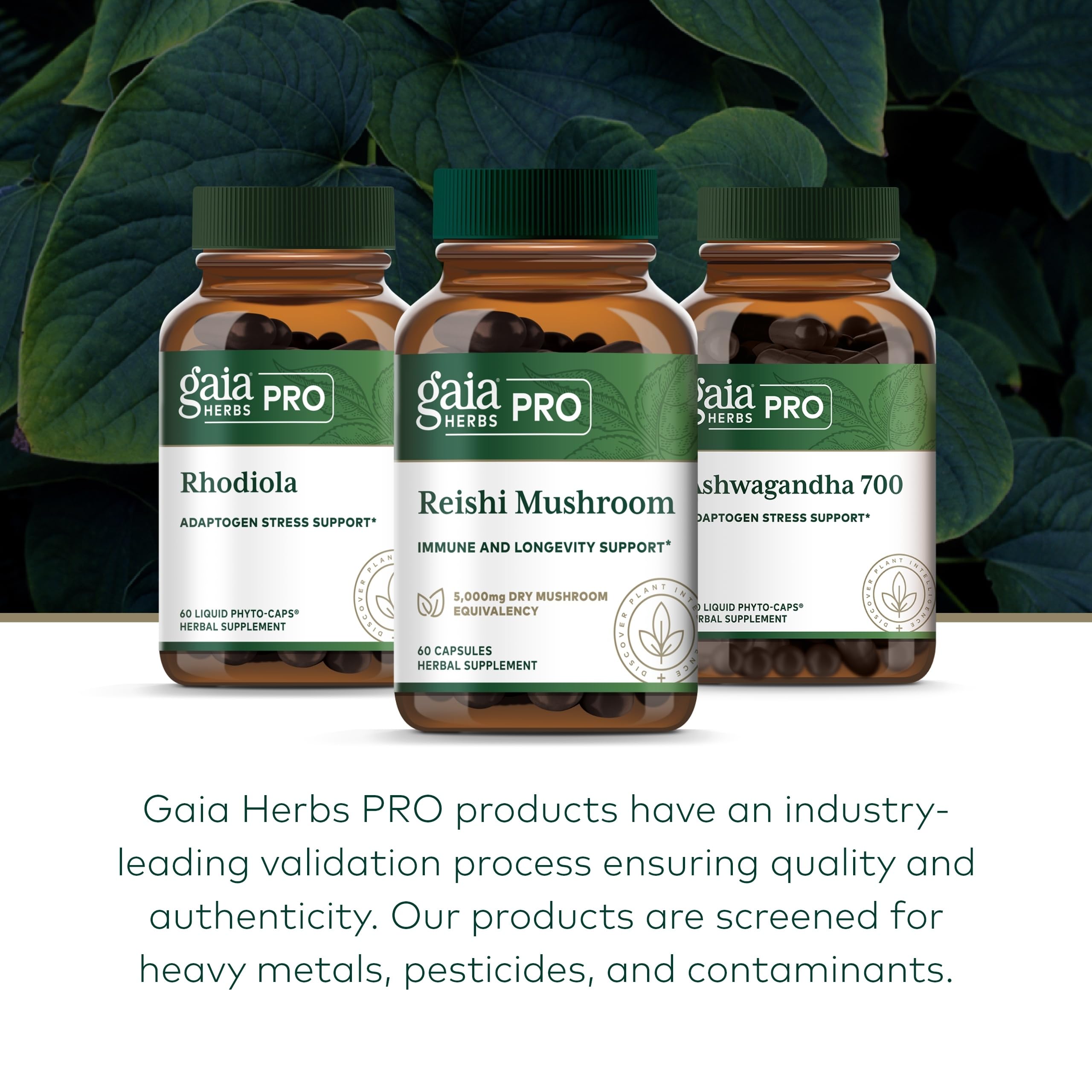 Gaia Herbs PRO Reishi champignon tableau-usage: intégré à votre rituel bien-être.