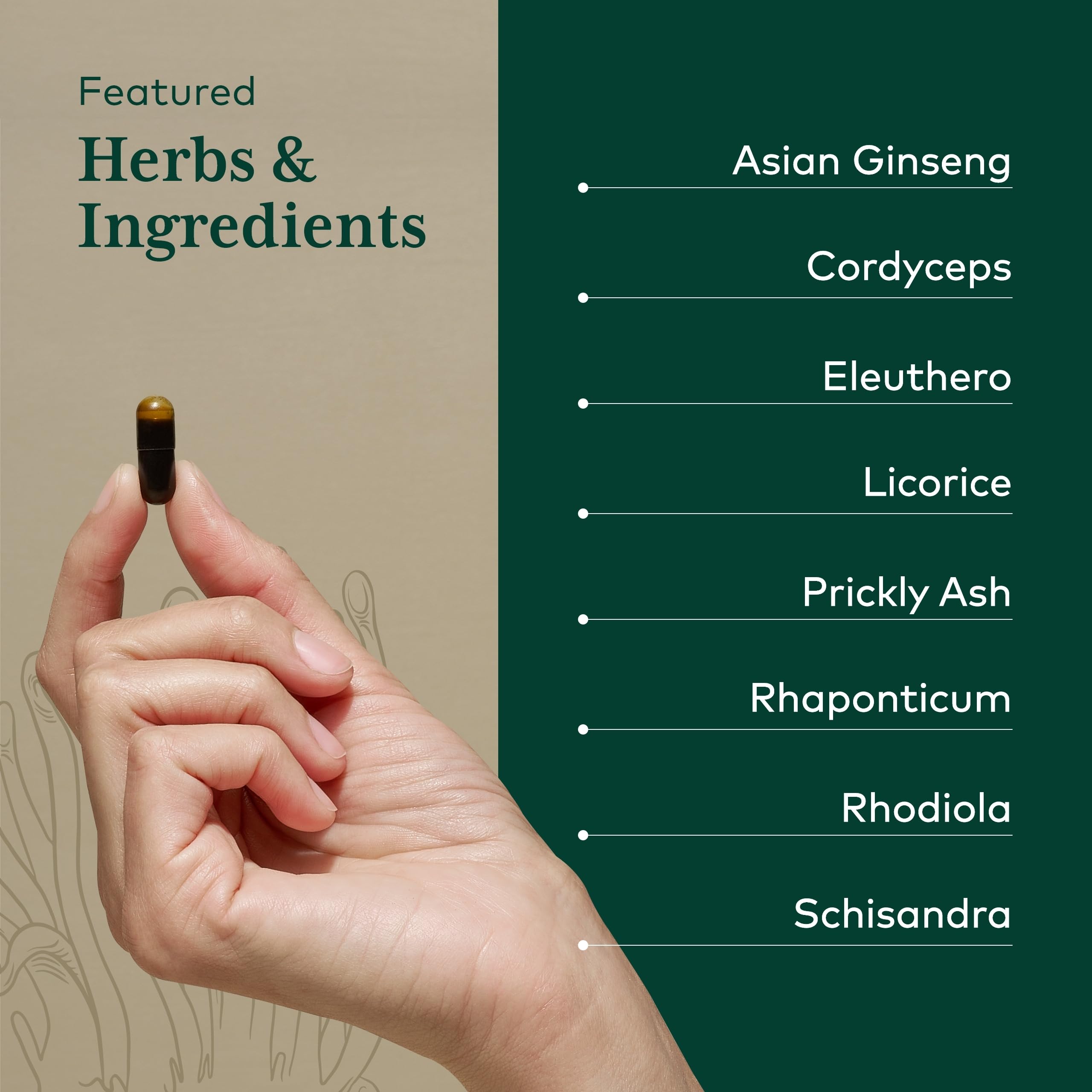Gaia Herbs PRO Revive HPA – ginseng asiatique intégré au mélange.