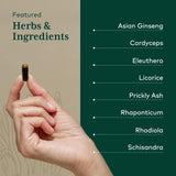 Gaia Herbs PRO Revive HPA – ginseng asiatique intégré au mélange.