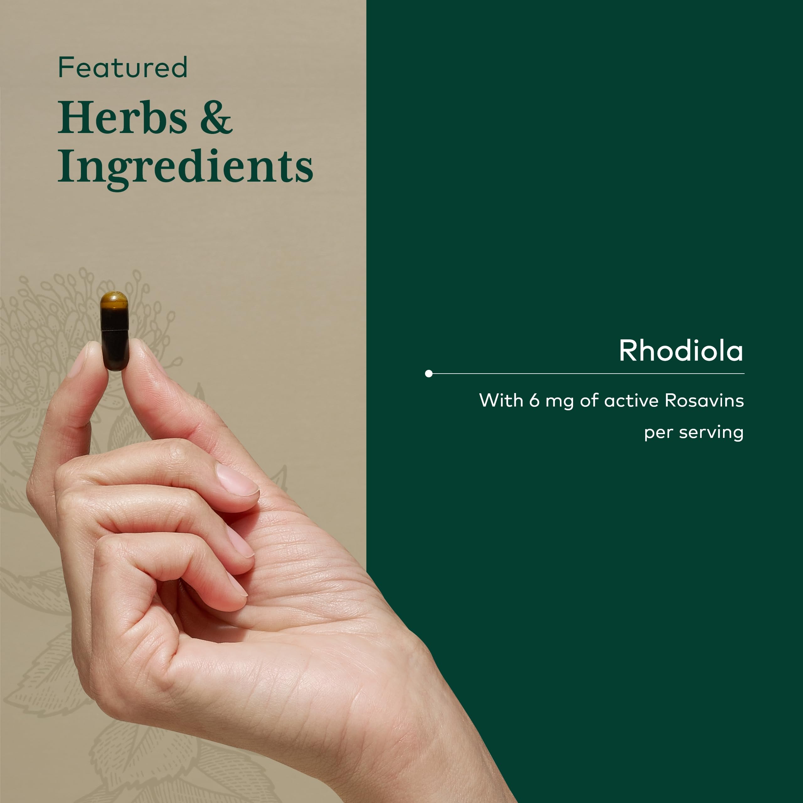 Gaia Herbs PRO Rhodiola – étiquette et boîte de qualité.