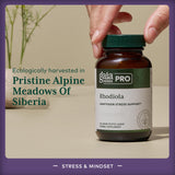 Gaia Herbs PRO Rhodiola – extrait de racine promouvant énergie durable.