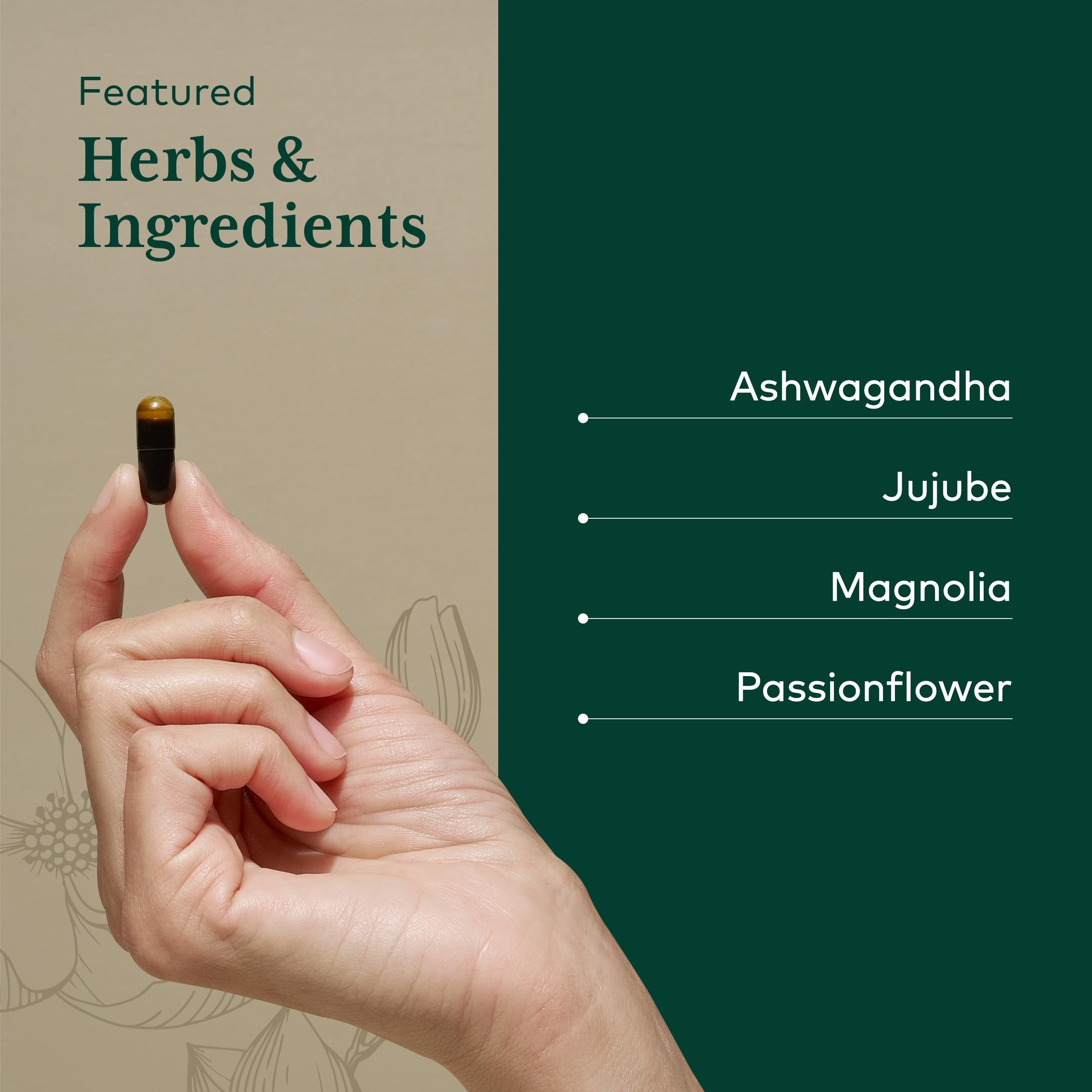 Gaia Herbs PRO Sommeil Maintien — racine d’Ashwagandha, potentiel calmant en soirée.