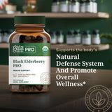 Gaia Herbs PRO Sureau noir — ferme régénérative biologique, origine durable et traçabilité.