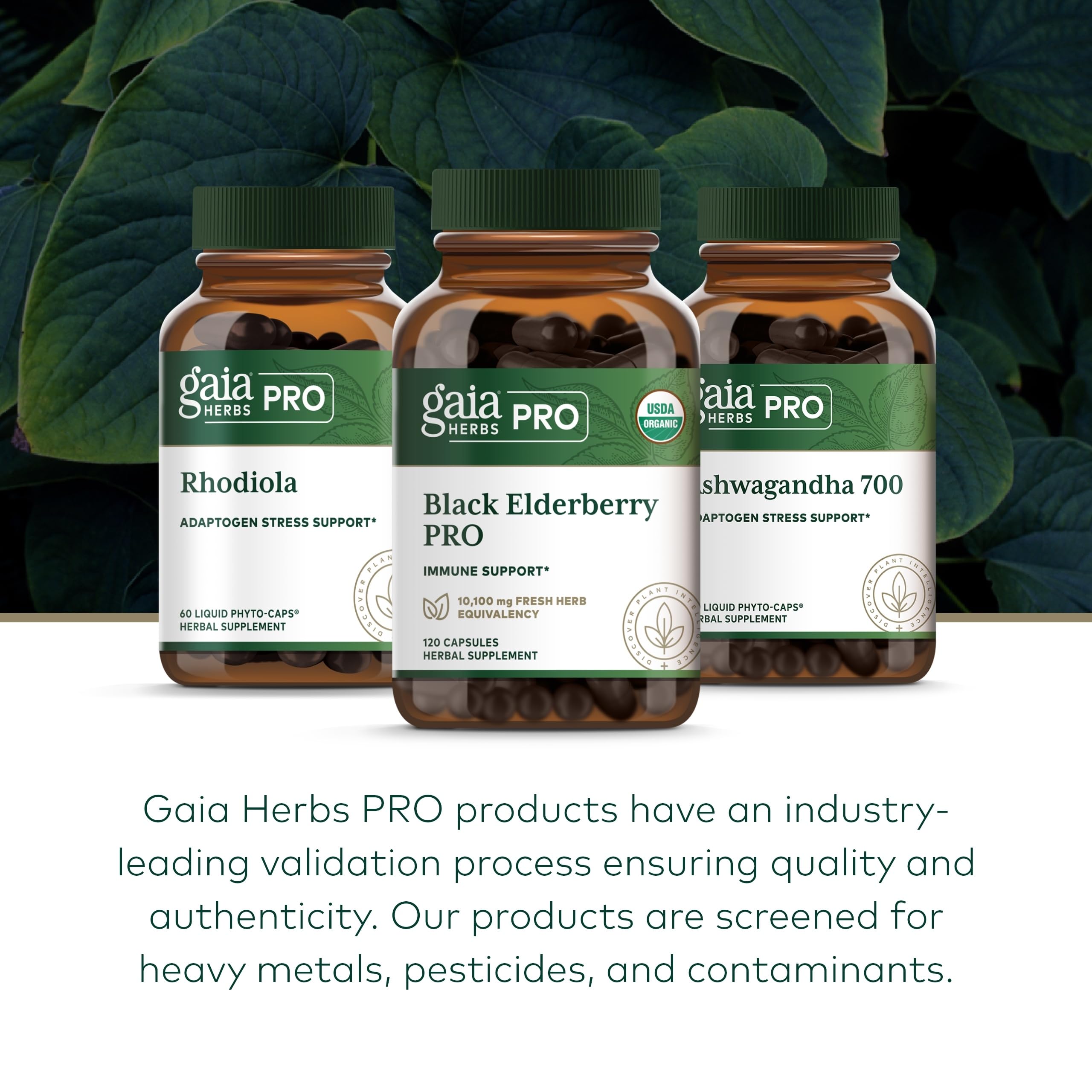 Gaia Herbs PRO Sureau noir — contrôle qualité et traçabilité vérifiée pour la pureté.