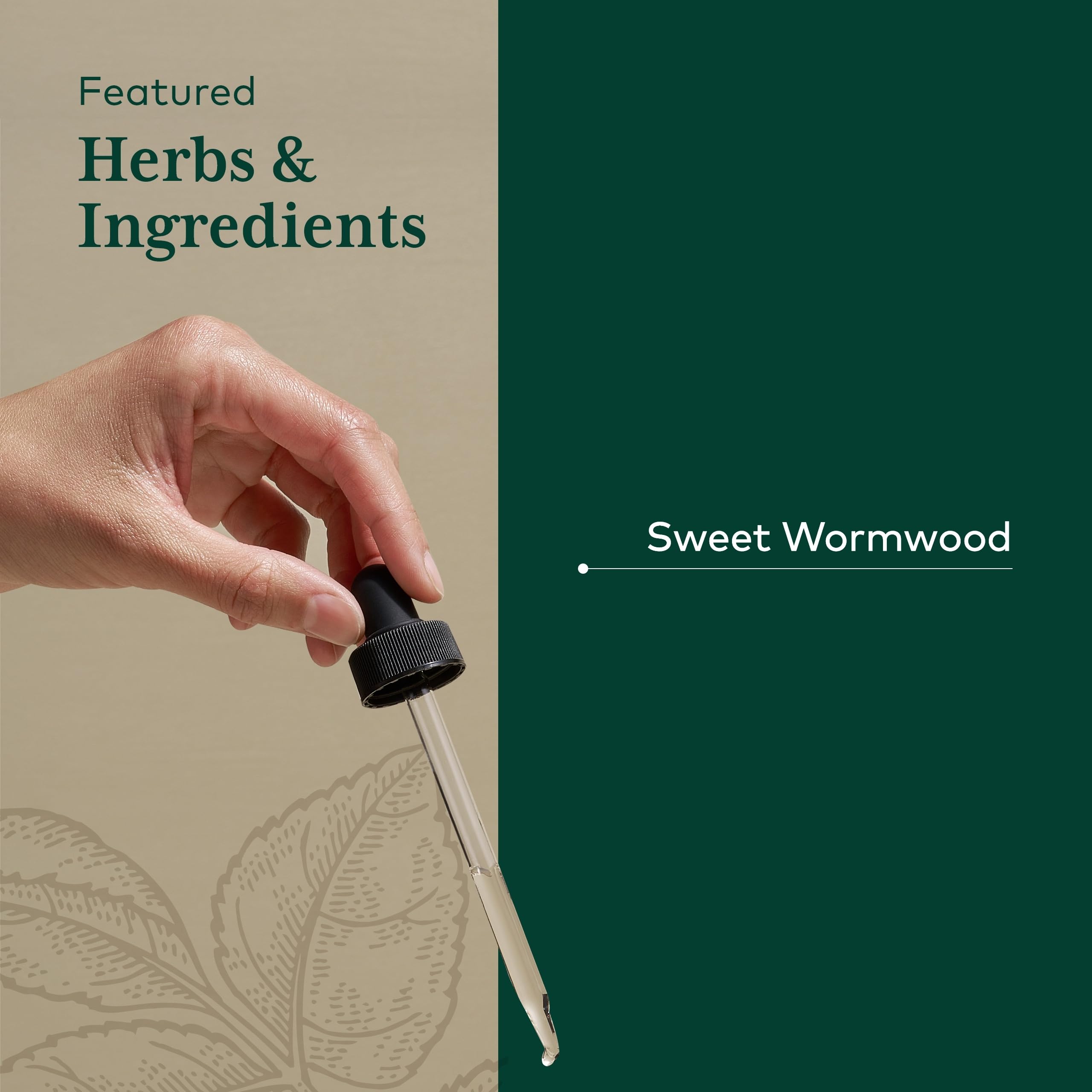 Gaia Herbs Pro Sweet Wormwood - Eau de préparation: dilution simple pour ingestion sereine.