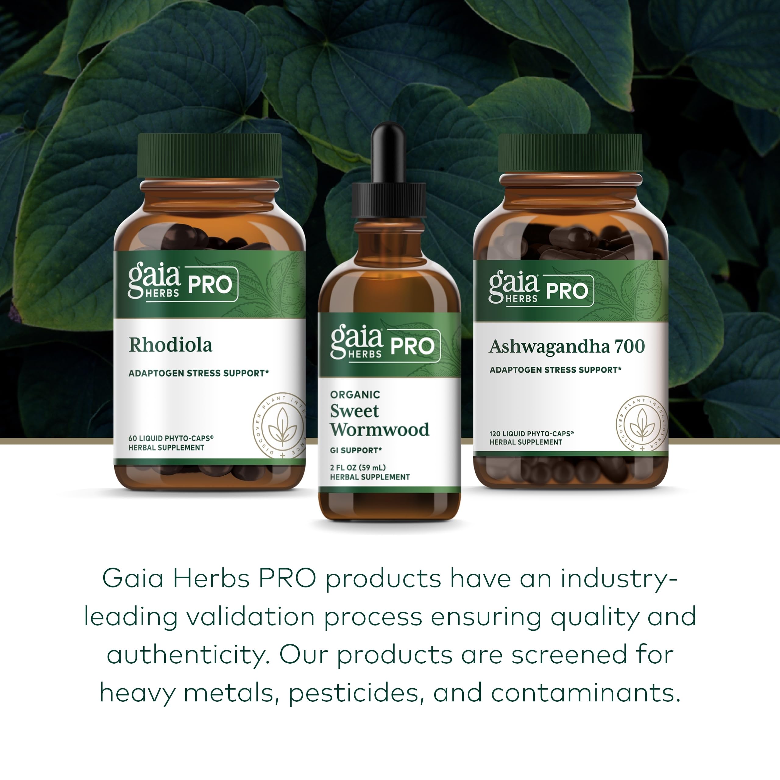 Gaia Herbs Pro Sweet Wormwood - Ferme régénérative: extrait cultivé avec pratiques durables.