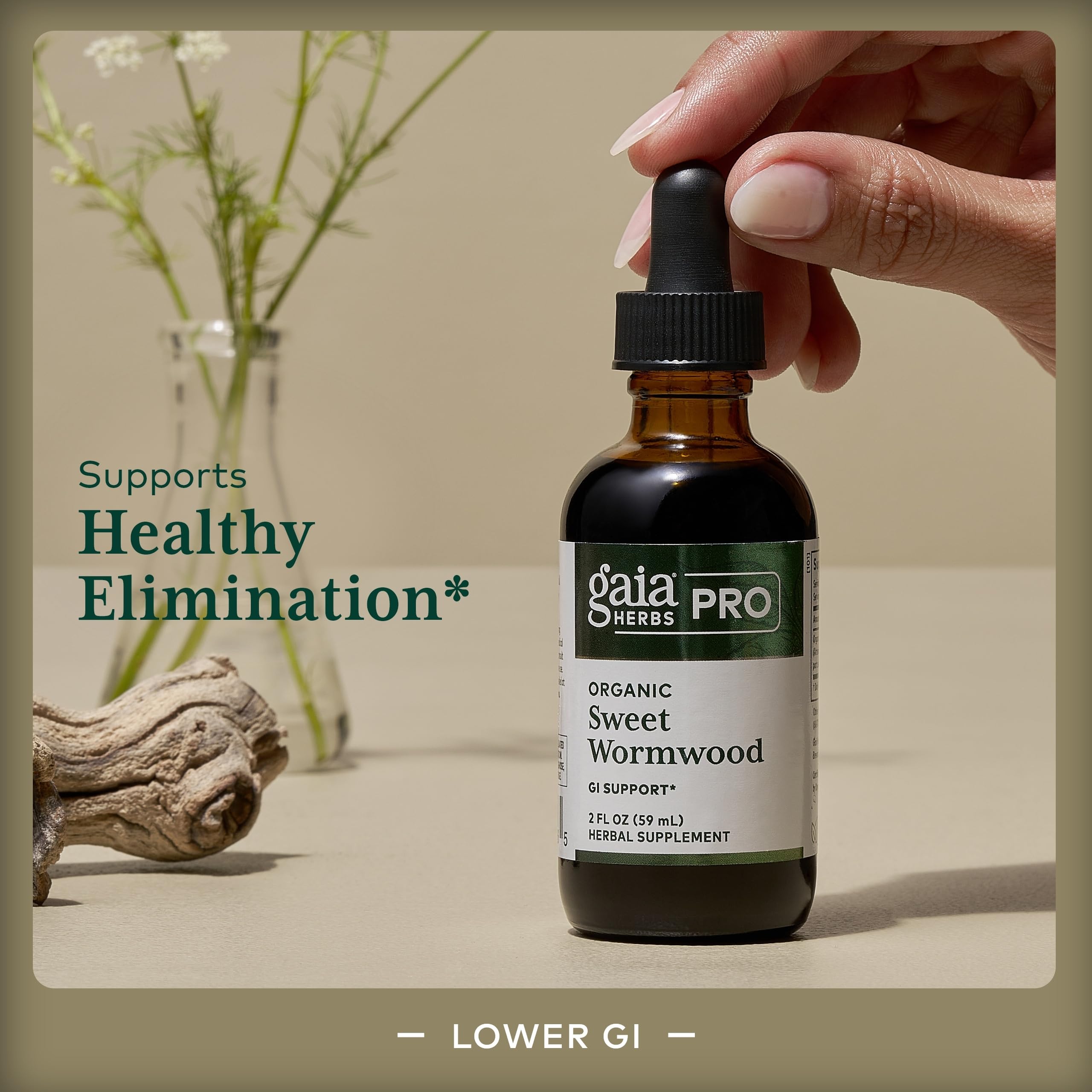 Gaia Herbs Pro Sweet Wormwood - Gouttes: mode d'emploi pratique et adapté à votre routine.