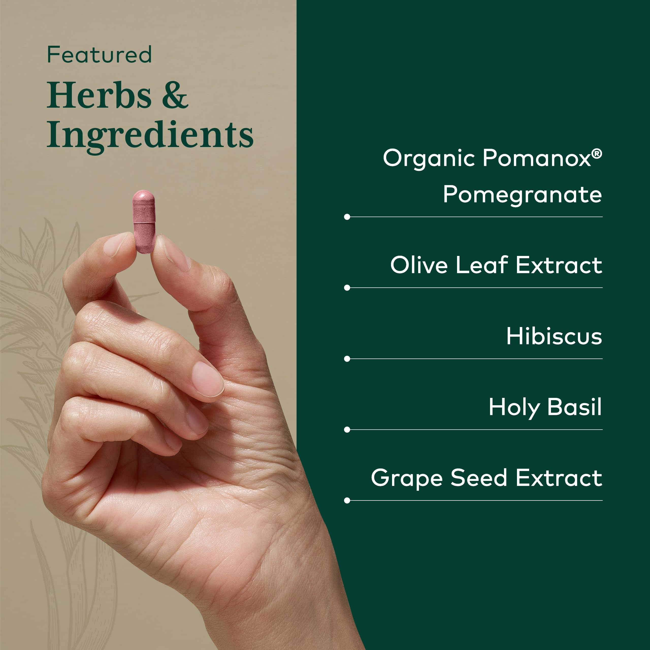 Gaia Herbs PRO Systolic Complex extrait grenade Pomanox: parfum fruité et usage quotidien.