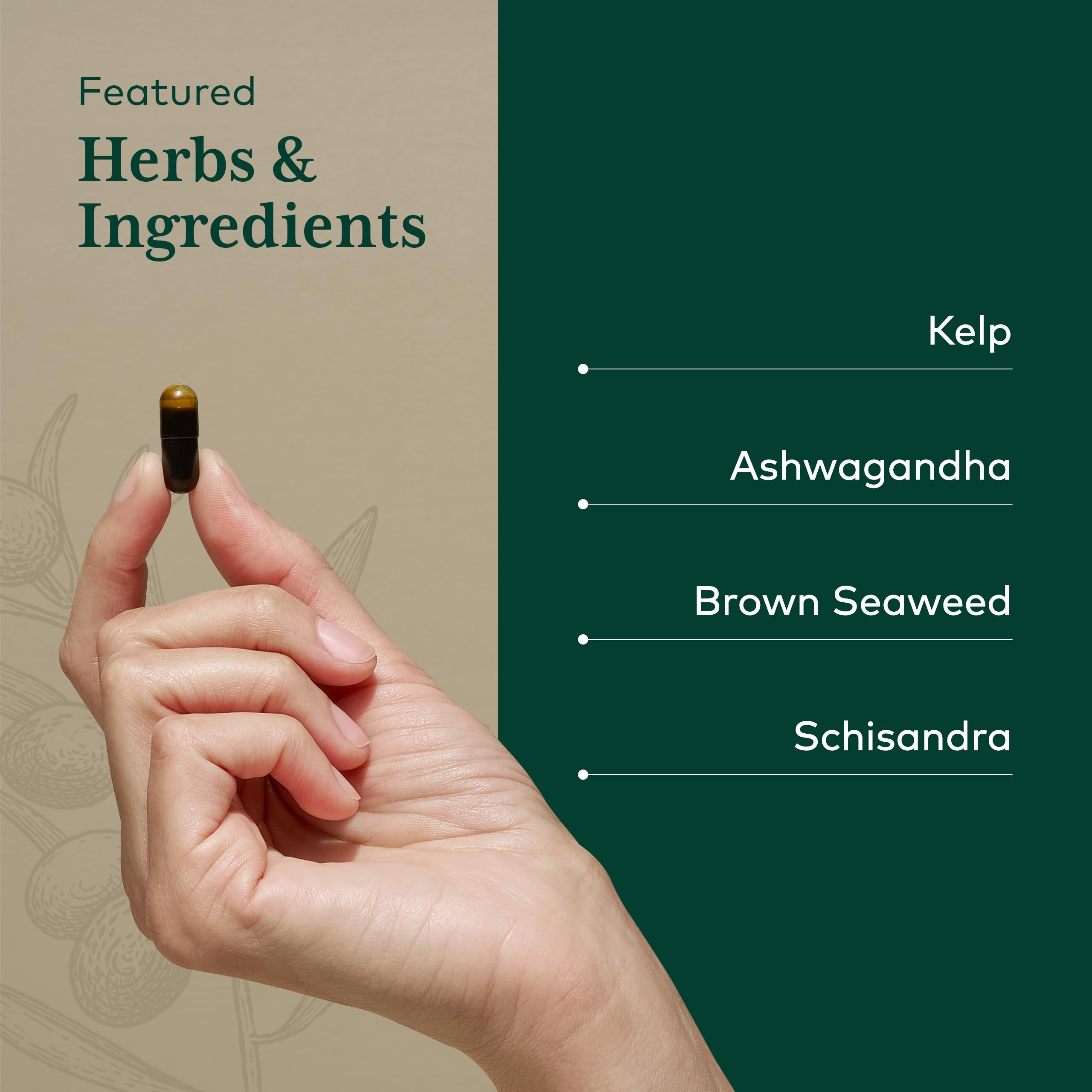 Gaia Herbs PRO Thyroid Formula ashwagandha-racine: soutien quotidien naturel