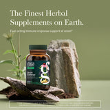 Gaia Herbs Quick Defense étiquette — echinacée et sureau noir visibles.