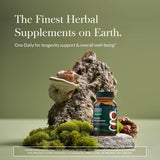 Gaia Herbs Reishi: étiquette qualité et traçabilité visibles.