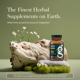 Gaia Herbs Reflux Relief, comprimés mâchables pratiques, usage en déplacement.