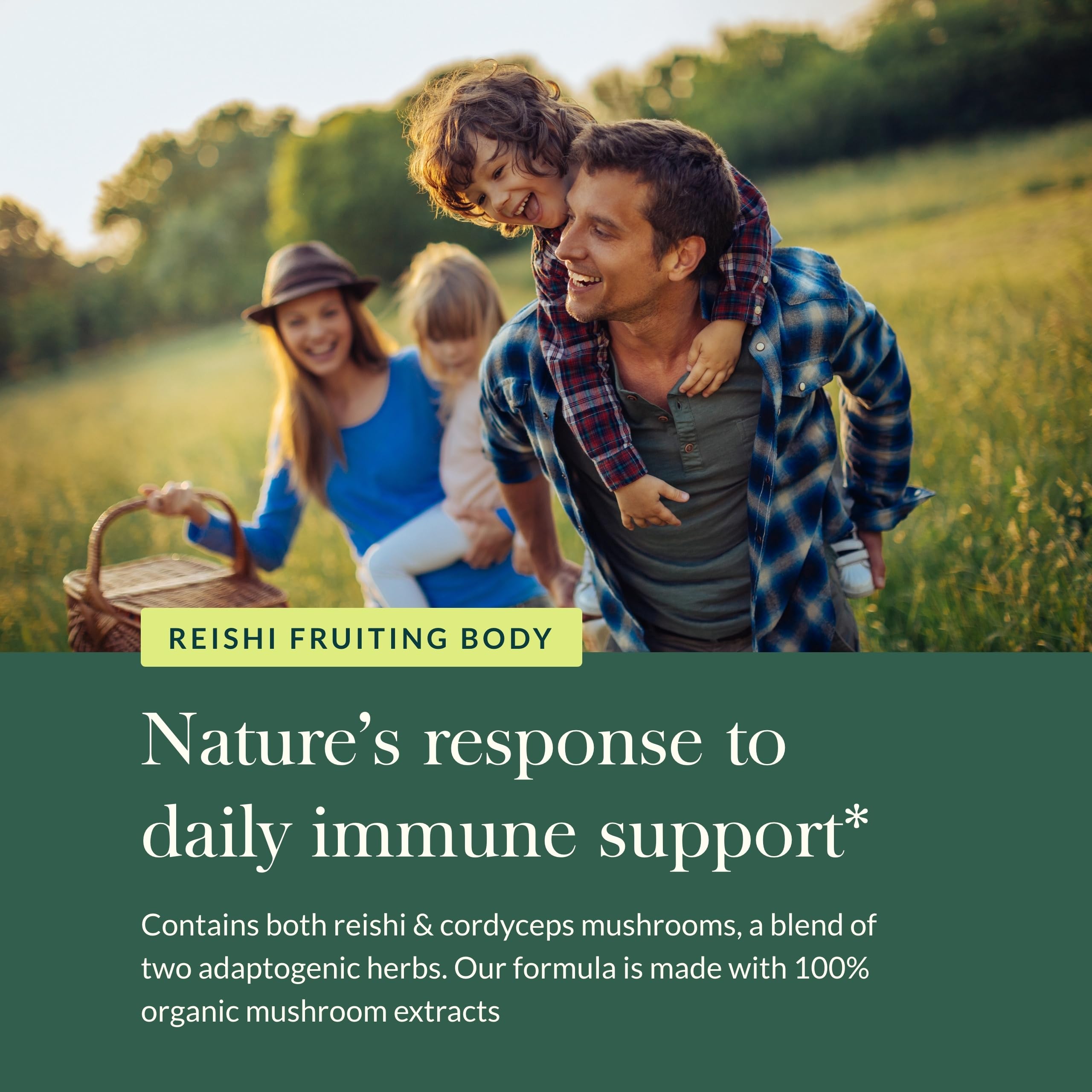 Gaia Herbs Mélange Respiratoire, extraits 100% biologiques garantissant pureté.