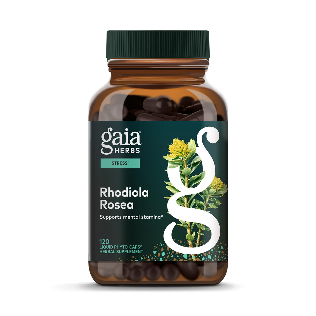Gaia Herbs Rhodiola Rosea – Bouteille prête à intégrer dans votre routine énergétique.
