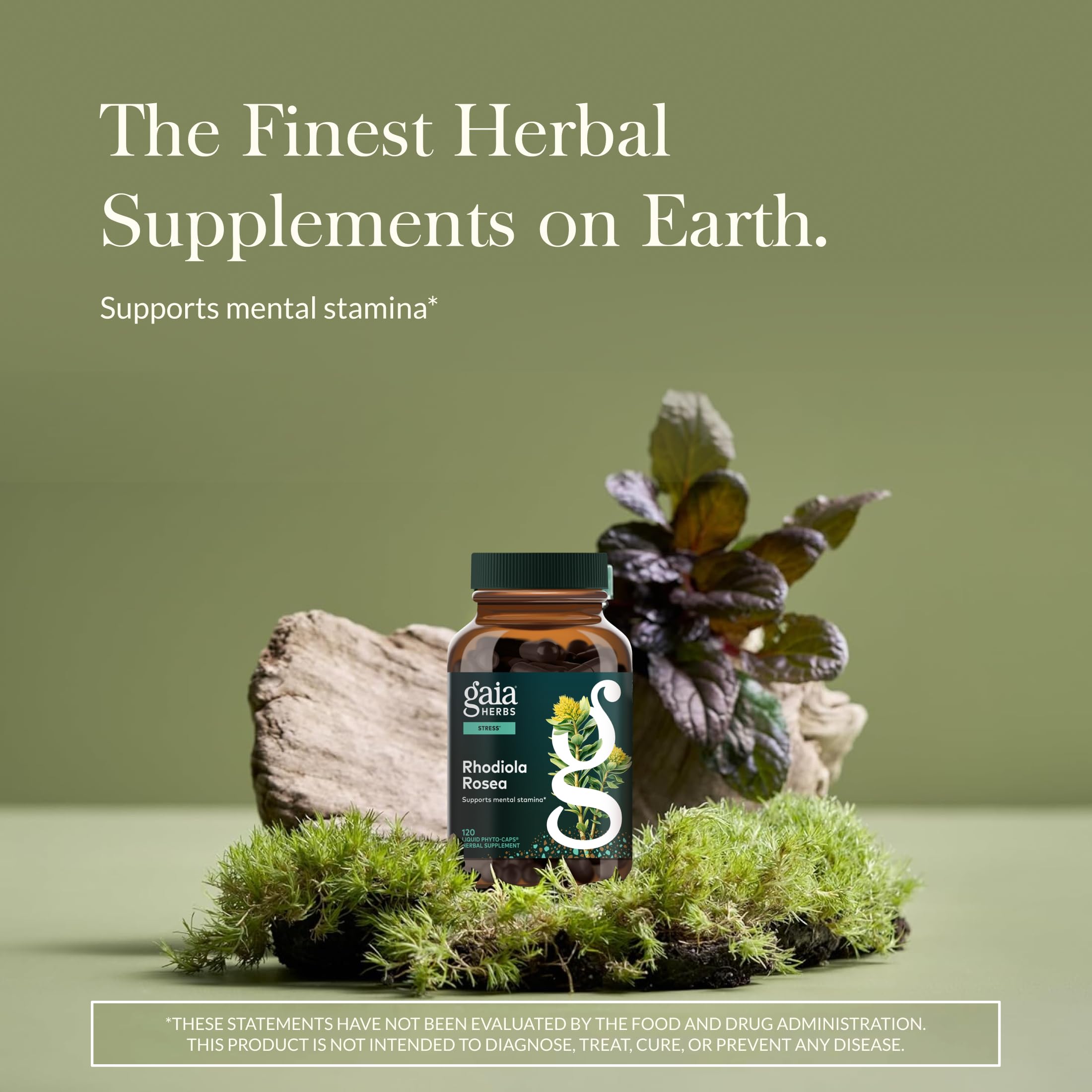 Étiquette Gaia Herbs Rhodiola Rosea affichant les informations produit.