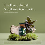 Étiquette Gaia Herbs Rhodiola Rosea affichant les informations produit.