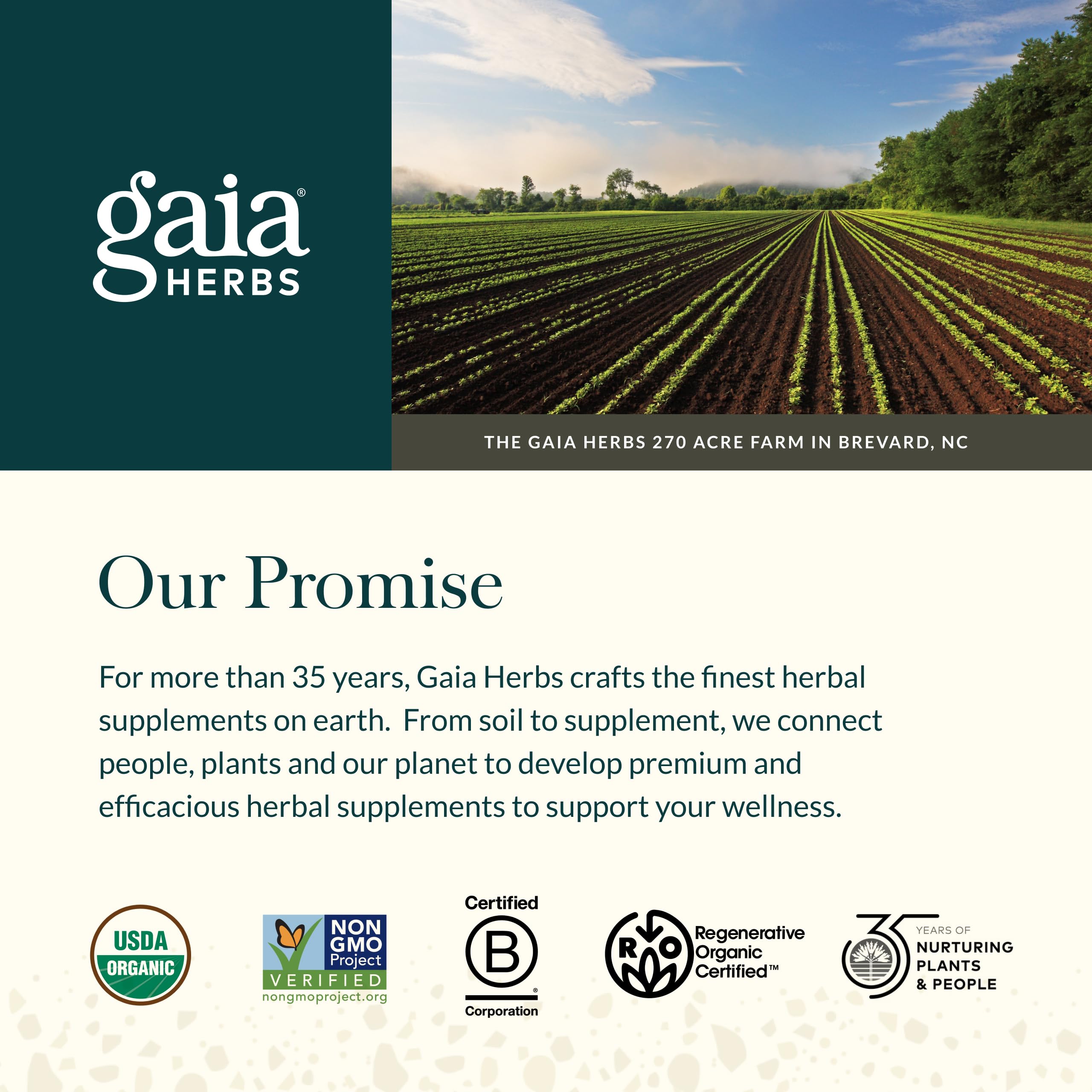 Gaia Herbs Sinus & Lung Supreme – Plantain et autres plantes pour le confort respiratoire.