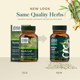 Gaia Herbs Soutien respiratoire - respiration facile : image illustrant le soutien respiratoire potentiel