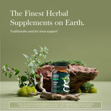 Gaia Herbs Stinging Nettle Leaf - capsules près d'une étiquette : simplicité d'intégration quotidienne