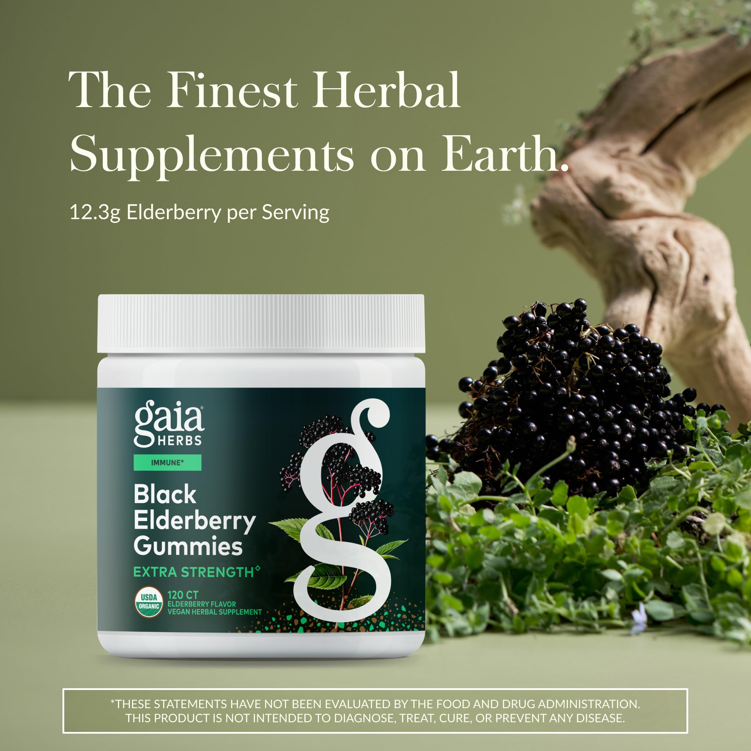 Bouteille Gaia Herbs Sureau Noir biologique: emballage durable et extrait concentré.