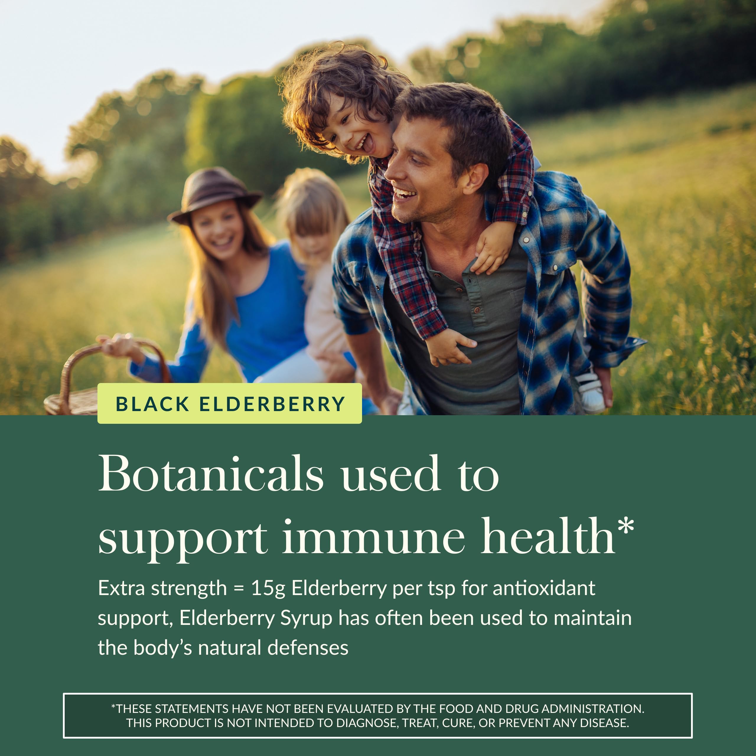 Coopérative biologique garantissant le sureau, récolte à la main pour la qualité.