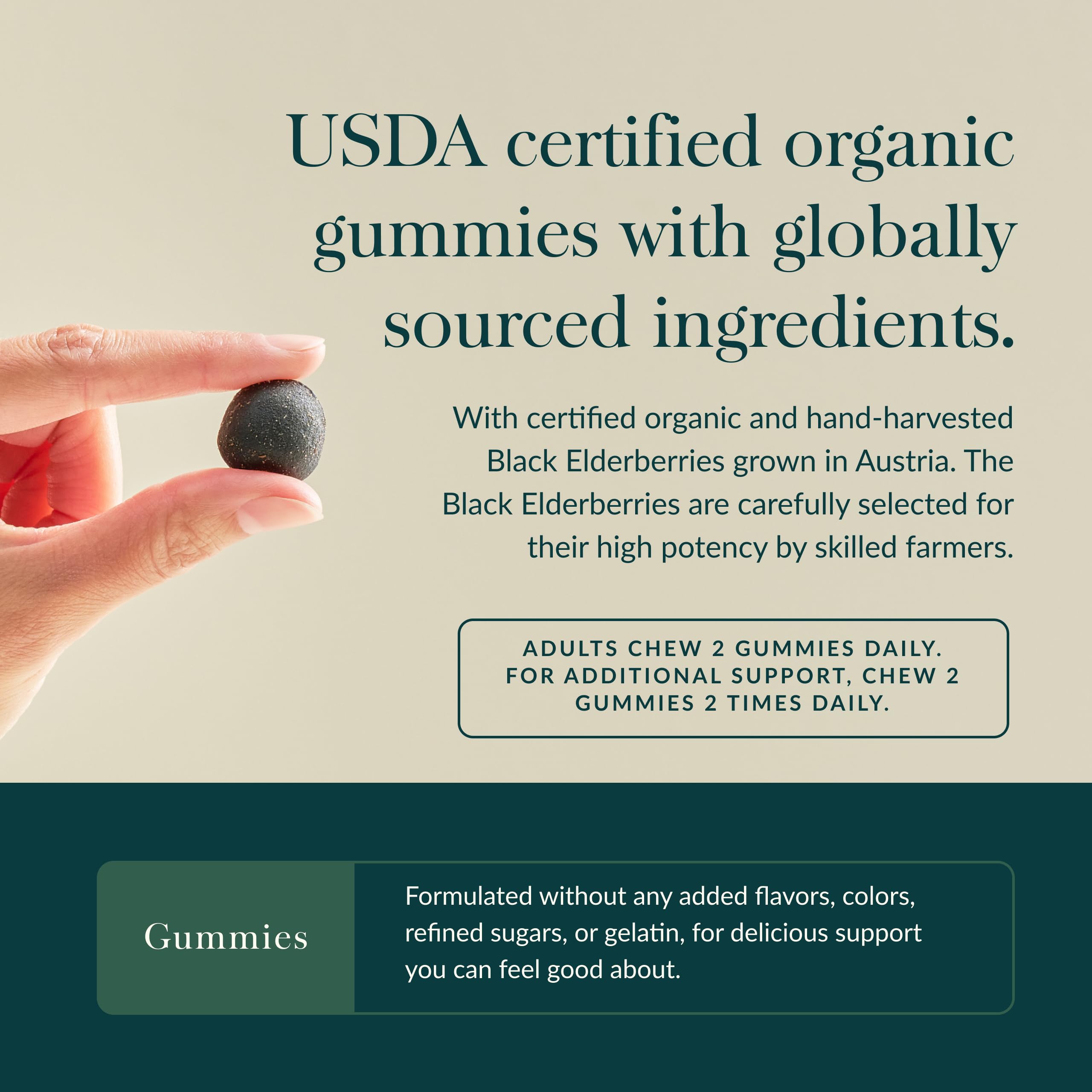 Emballage Gaia Herbs Sureau Noir certifié biologique: traçabilité et intégrité.