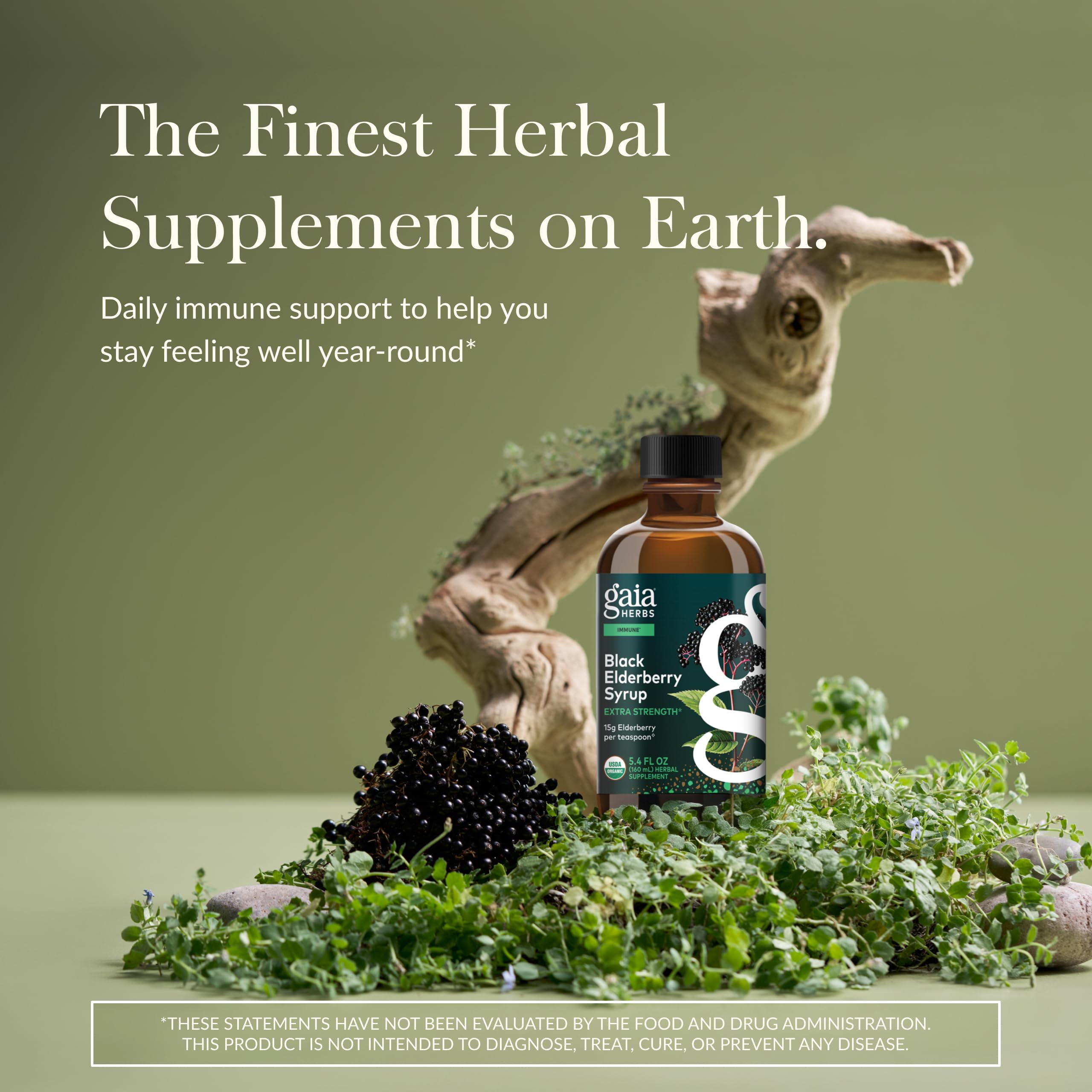Versement du sirop Gaia Herbs Sureau Noir, dose pratique et savoureuse.
