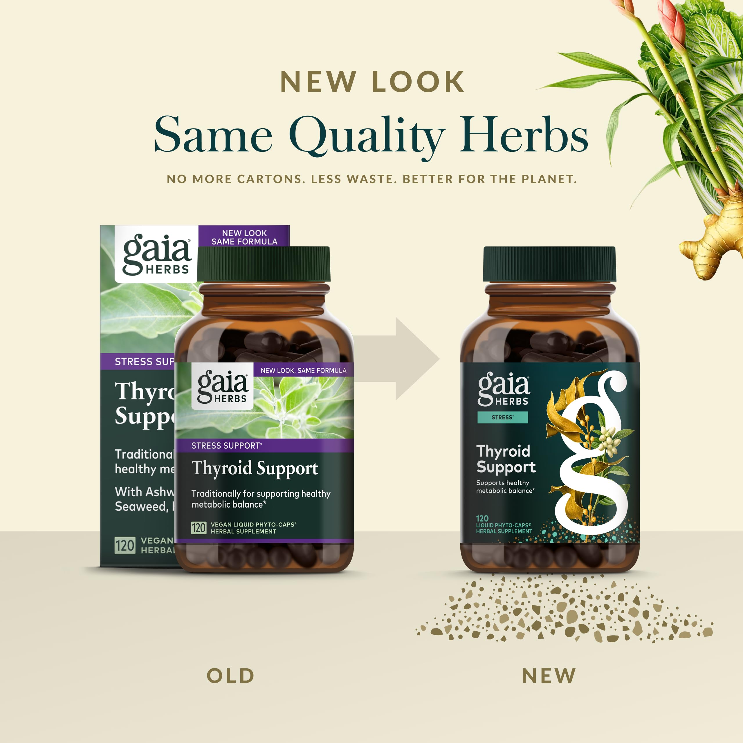 Gaia Herbs — algue brune, ingrédient naturel dans le mélange.