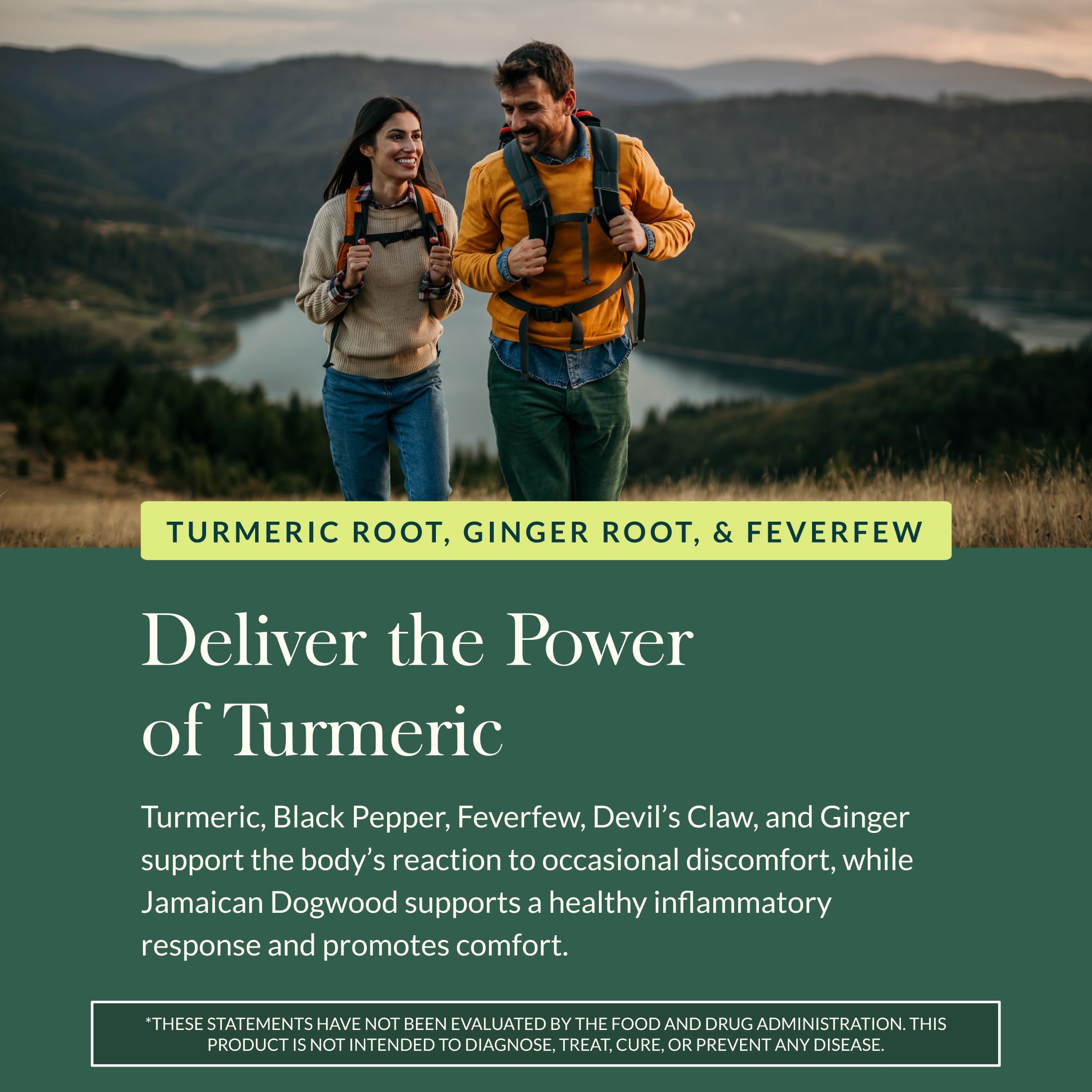 Gaia Herbs Turmeric Supreme Ache – gingembre et griffe du diable