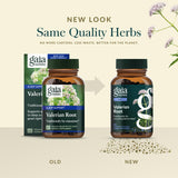 Gaia Herbs Valériane - Capsule: forme facile à prendre le soir.