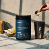 Extrait de thé vert dans la formule Gainful Lean Whey pour soutenir le métabolisme.