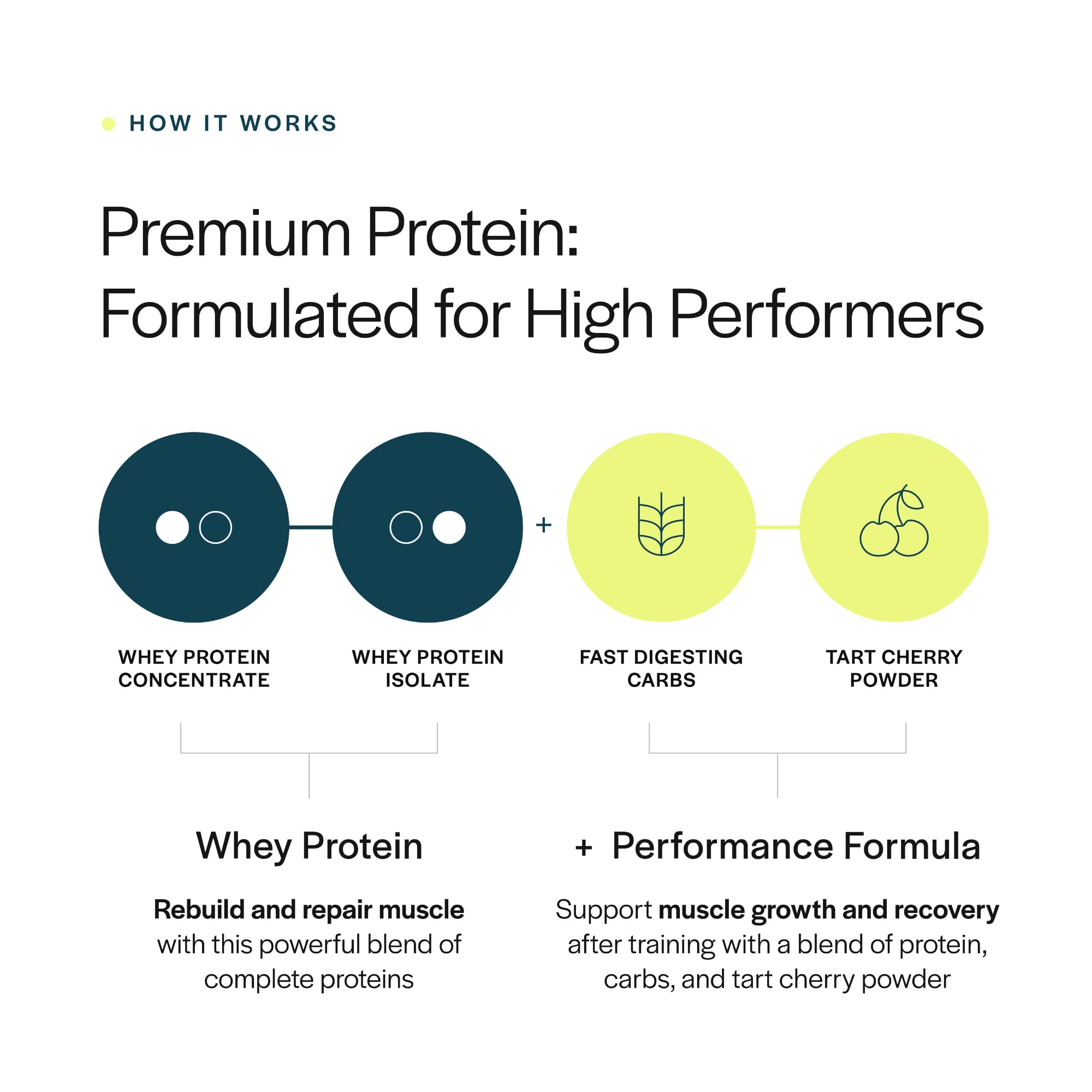Gainful Poudre Whey Performance mélangé au lait, boisson protéinée rapide et gourmande.