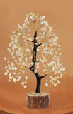 Gangesindia Arbre Citrine – bureau-ambiance: stimule une ambiance professionnelle et chaleureuse.