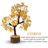 Gangesindia Arbre Citrine – déco-maison: idéal pour étagères et bureaux.