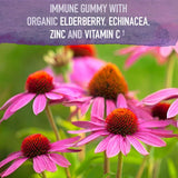 Gommes Garden of Life Organics avec ingrédients biologiques et arômes naturels.