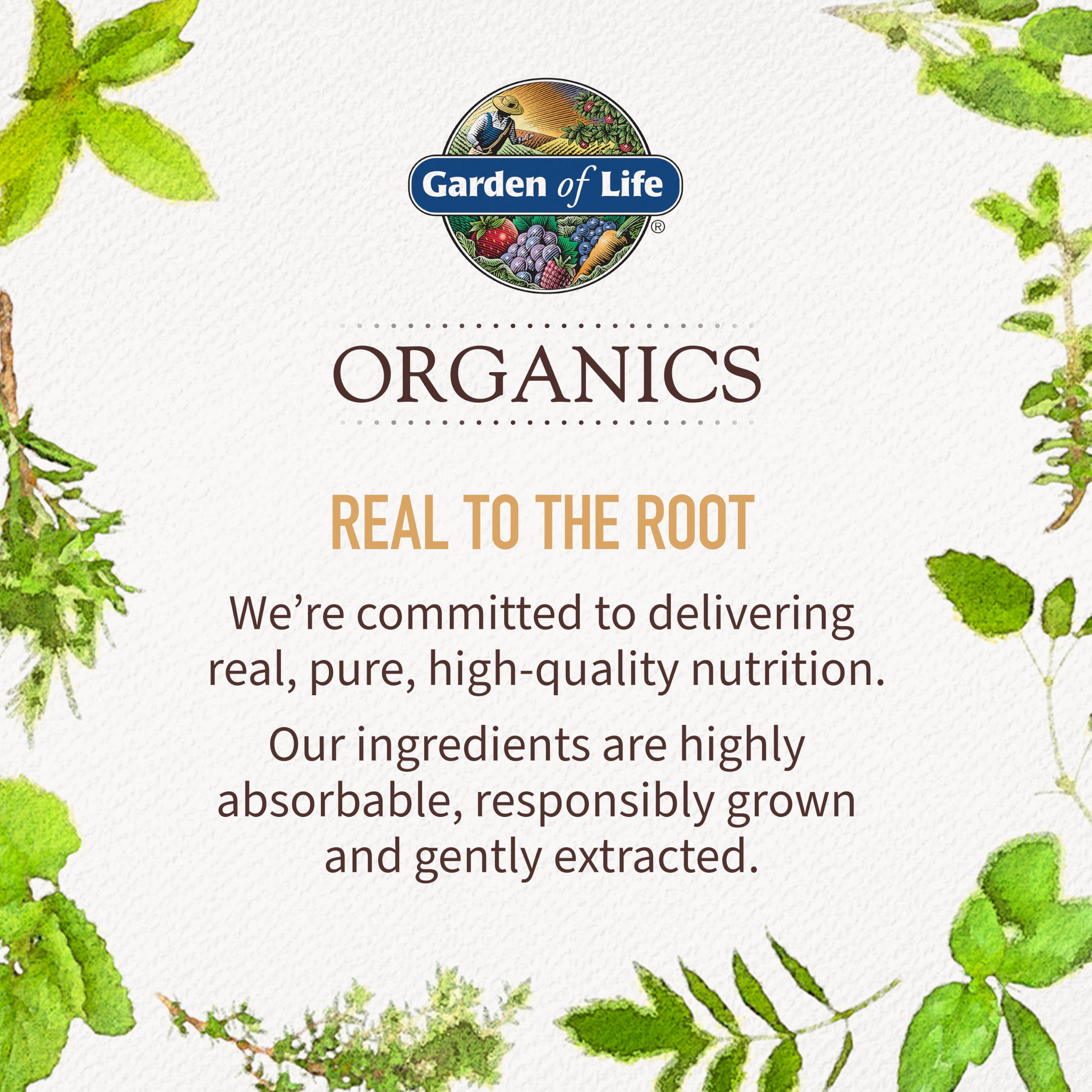 Conditionnement pratique: 120 comprimés Garden of Life Organics Homme pour la routine.