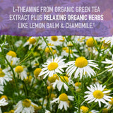 Garden of Life Sleep Well – bouteille et packaging: certifications bio et vegan visibles.