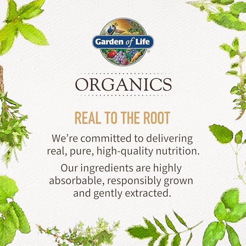 Garden of Life Organics Turmeric Gommes – soutiennent une routine santé familiale.