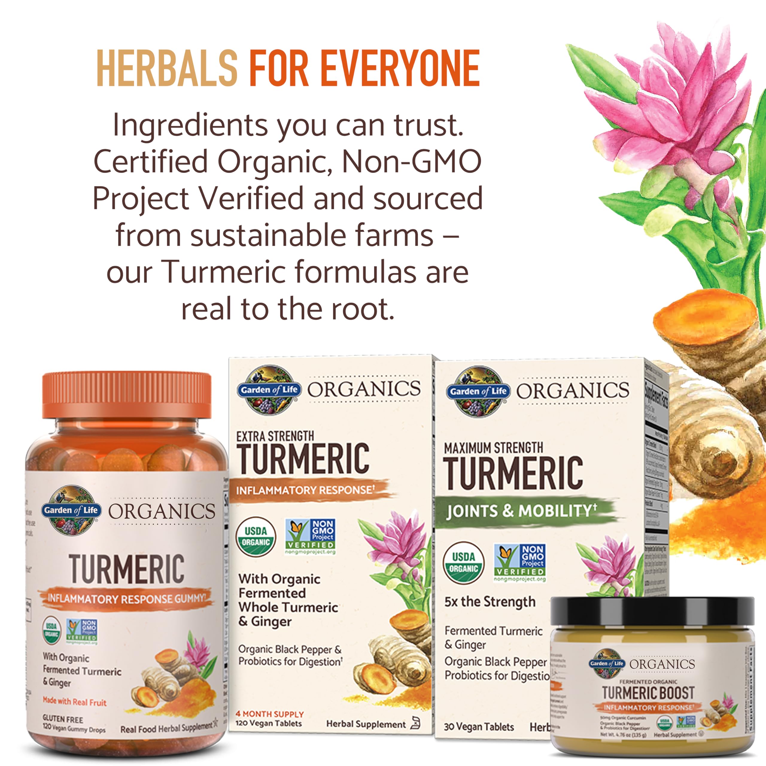 Garden of Life Organics Turmeric Gommes – usage quotidien pratique et savoureux.