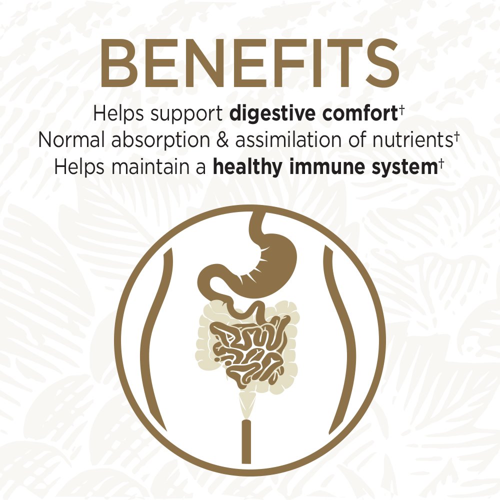 Garden of Life Primal Defense Ultra — mélange de souches favorisant une flore intestinale équilibrée.