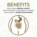 Garden of Life Primal Defense Ultra — mélange de souches favorisant une flore intestinale équilibrée.