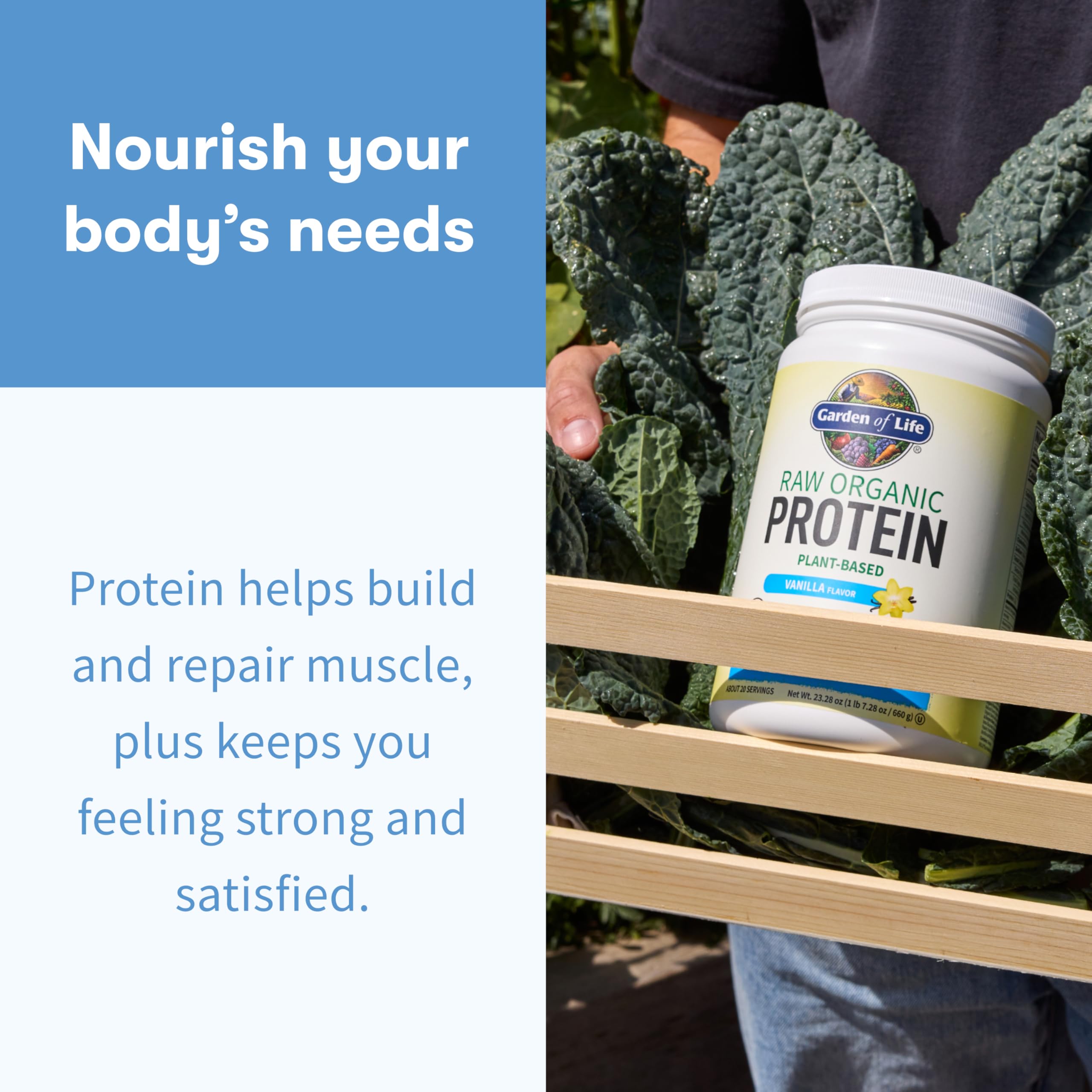 Garden of Life Probiotiques et Enzymes Digestives, apport utile pour la digestion