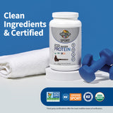 Garden of Life protéine végétale chocolat, sans gluten – protéine végétale certifiée et sans gluten.