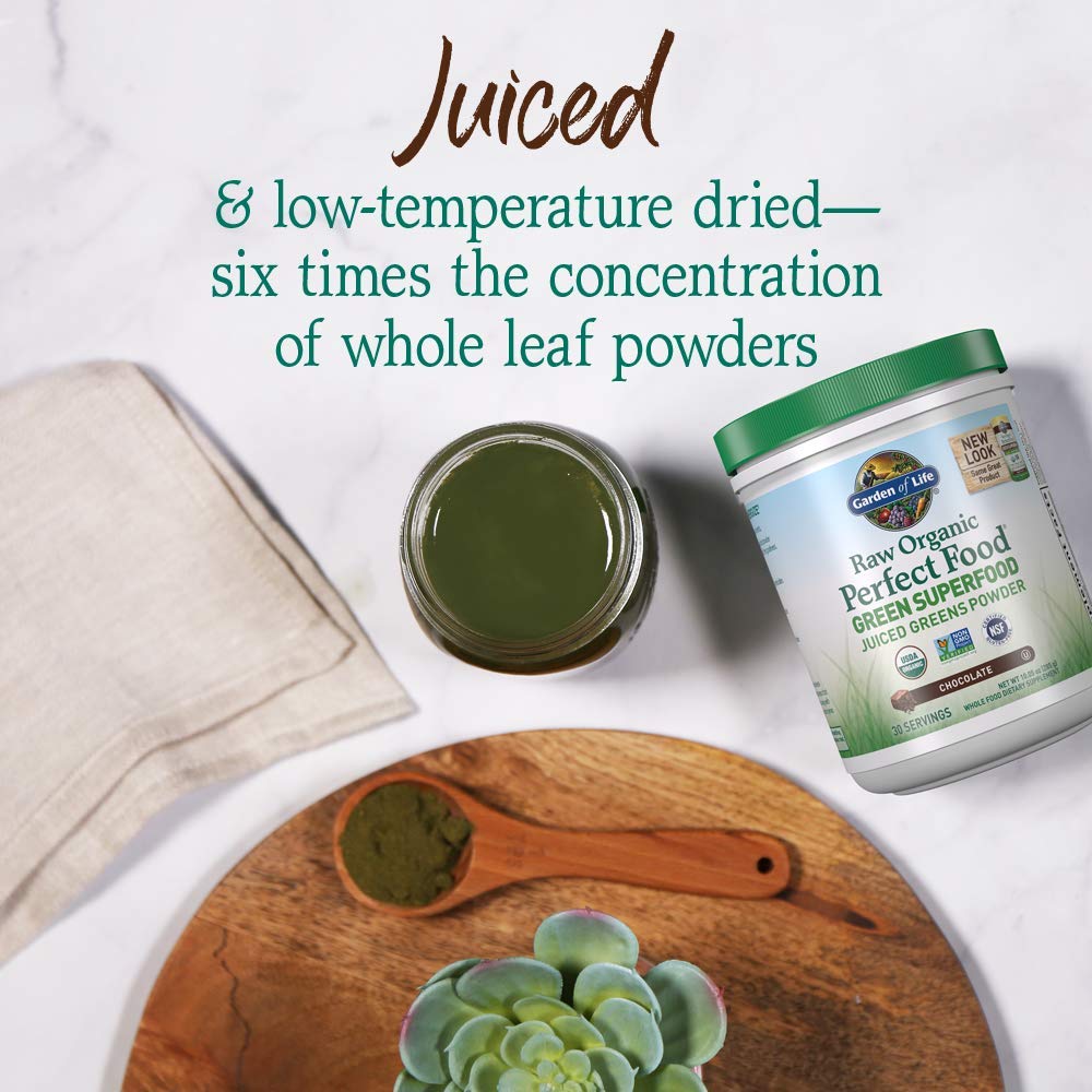 Garden of Life Raw Organic Perfect Food Chocolat – bouteille: pratique pour emporter vos nutriments.