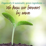 Garden of Life Raw Organic Perfect Food Chocolat – enzymes: aide à la digestion avec enzymes actives.