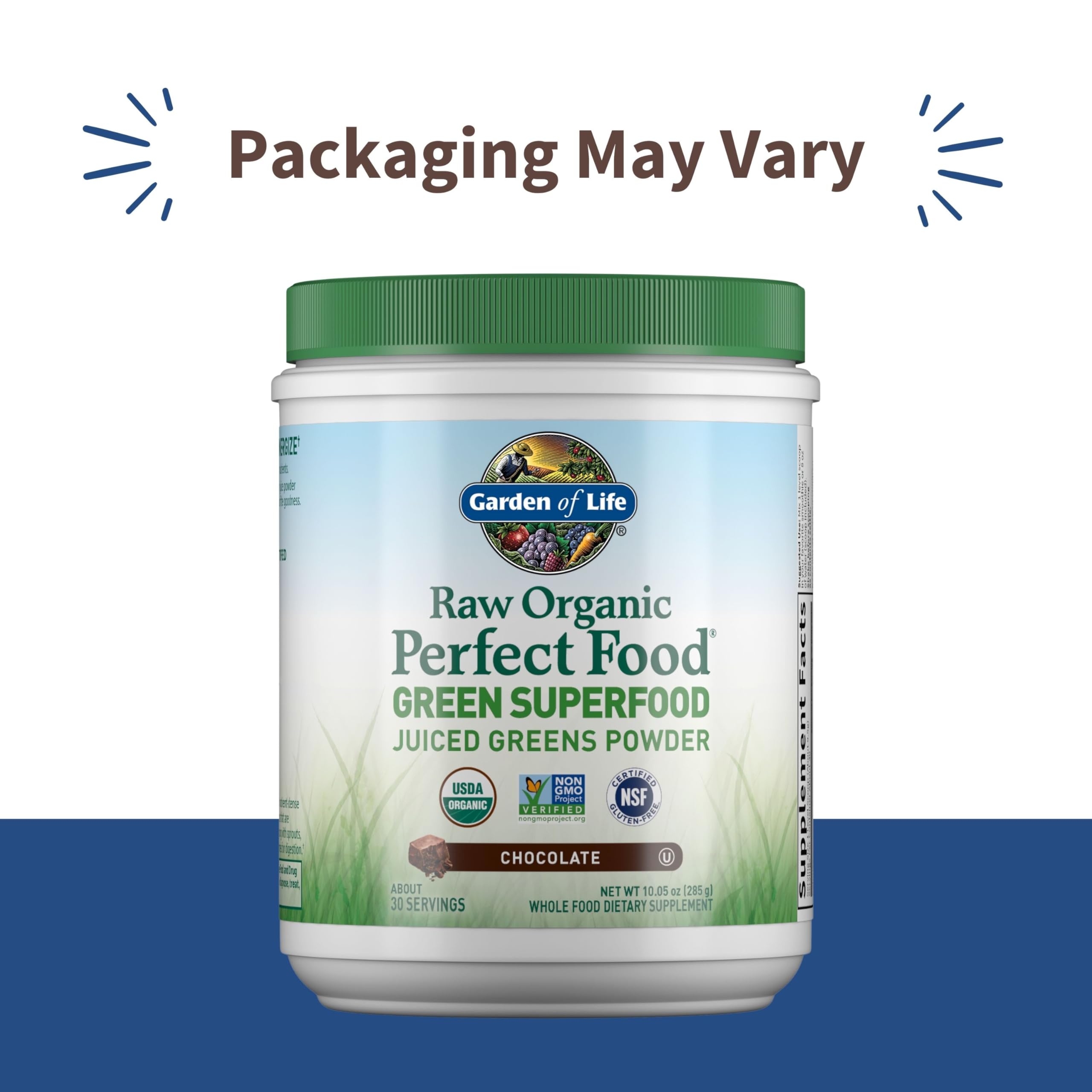 Garden of Life Raw Organic Perfect Food Chocolat – pelle: dosage facile des nutriments complets.