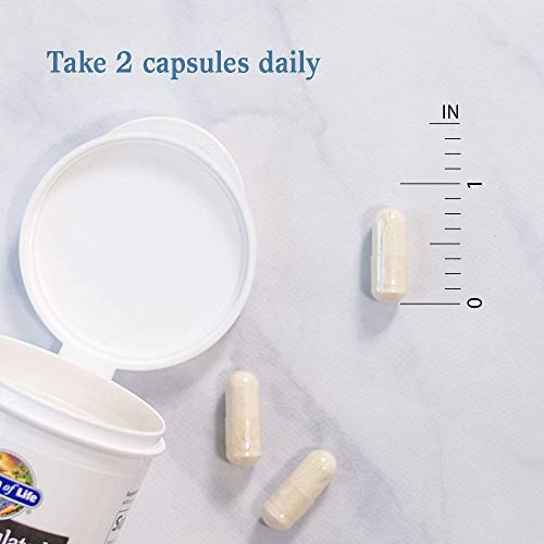 Garden of Life soutien digestif et immunitaire dans une routine quotidienne.