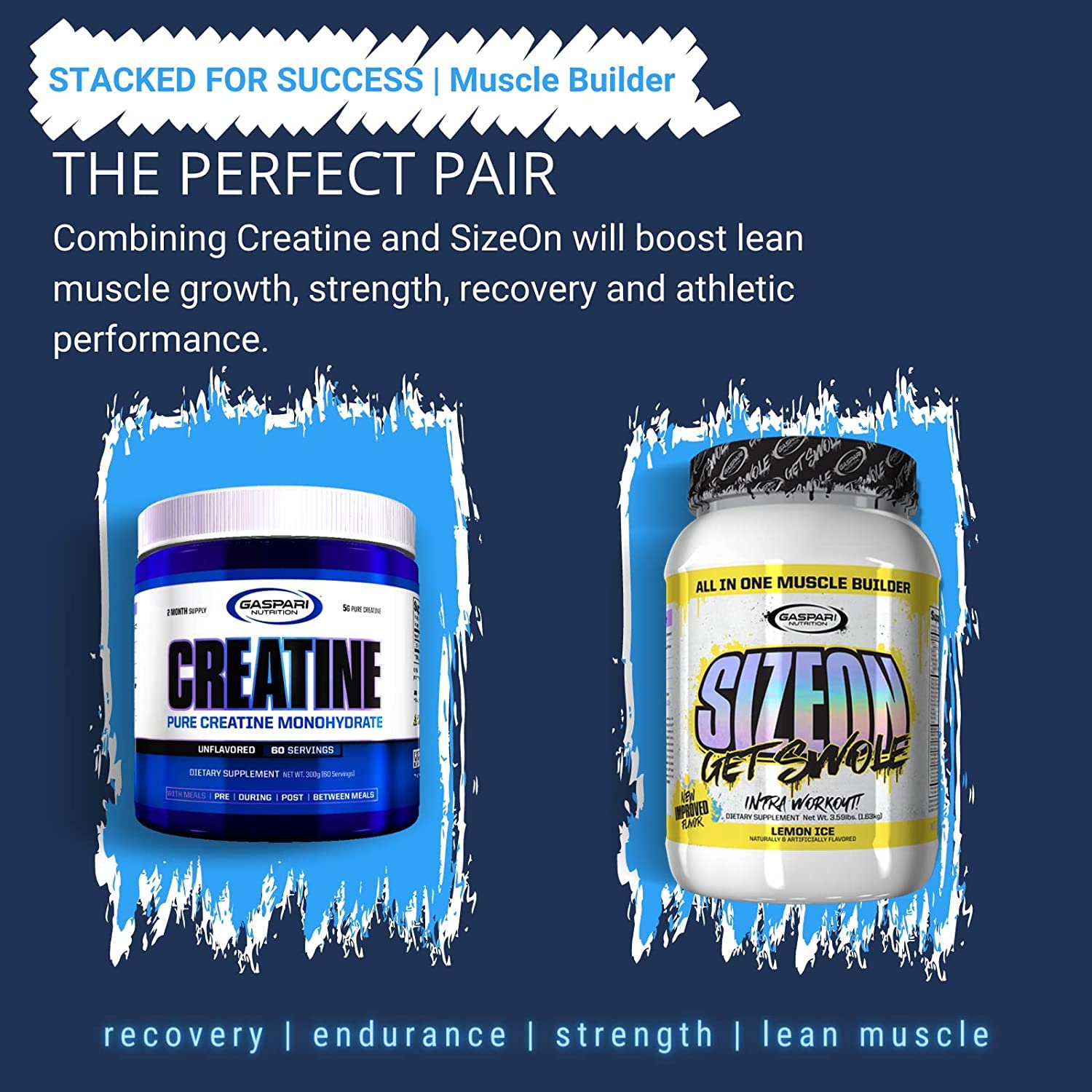 Gaspari Nutrition Créatine Pure – design épuré, facile à intégrer dans votre routine.