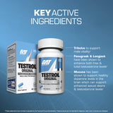 GAT SPORT Testrol – magnésium pour soutenir la récupération et l'énergie.